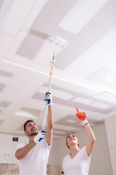 Best Ceiling Drywall Installation  in , MN